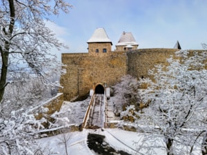 DJI_20250103113821_0337.JPG