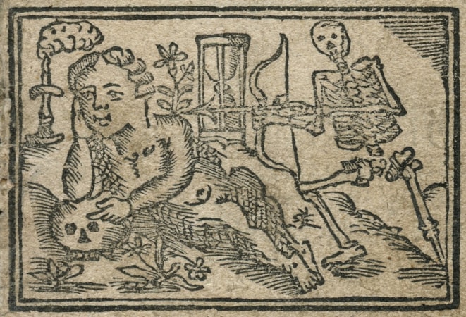 Úvod