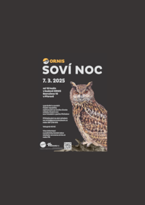 soví noc tit