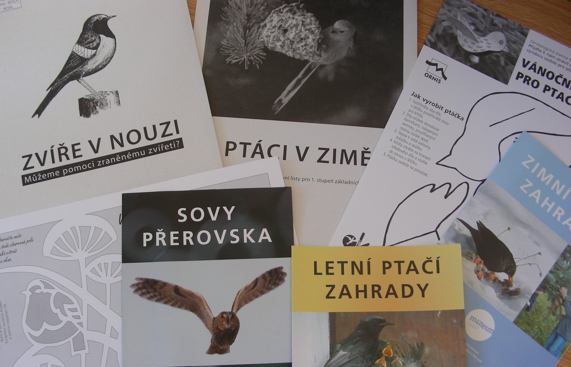 Materiály ke stažení