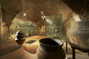 Expozice archeologie 