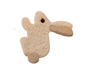 králík