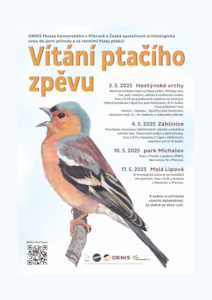 ptačí zpěv