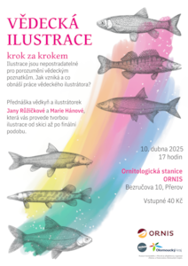 vědecká ilustrace web