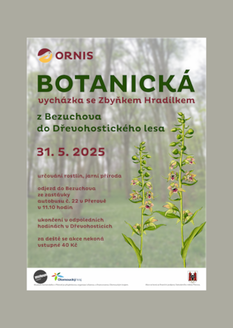 Botanická vycházka