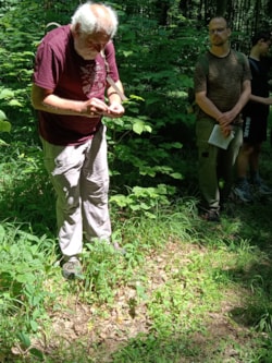 5a