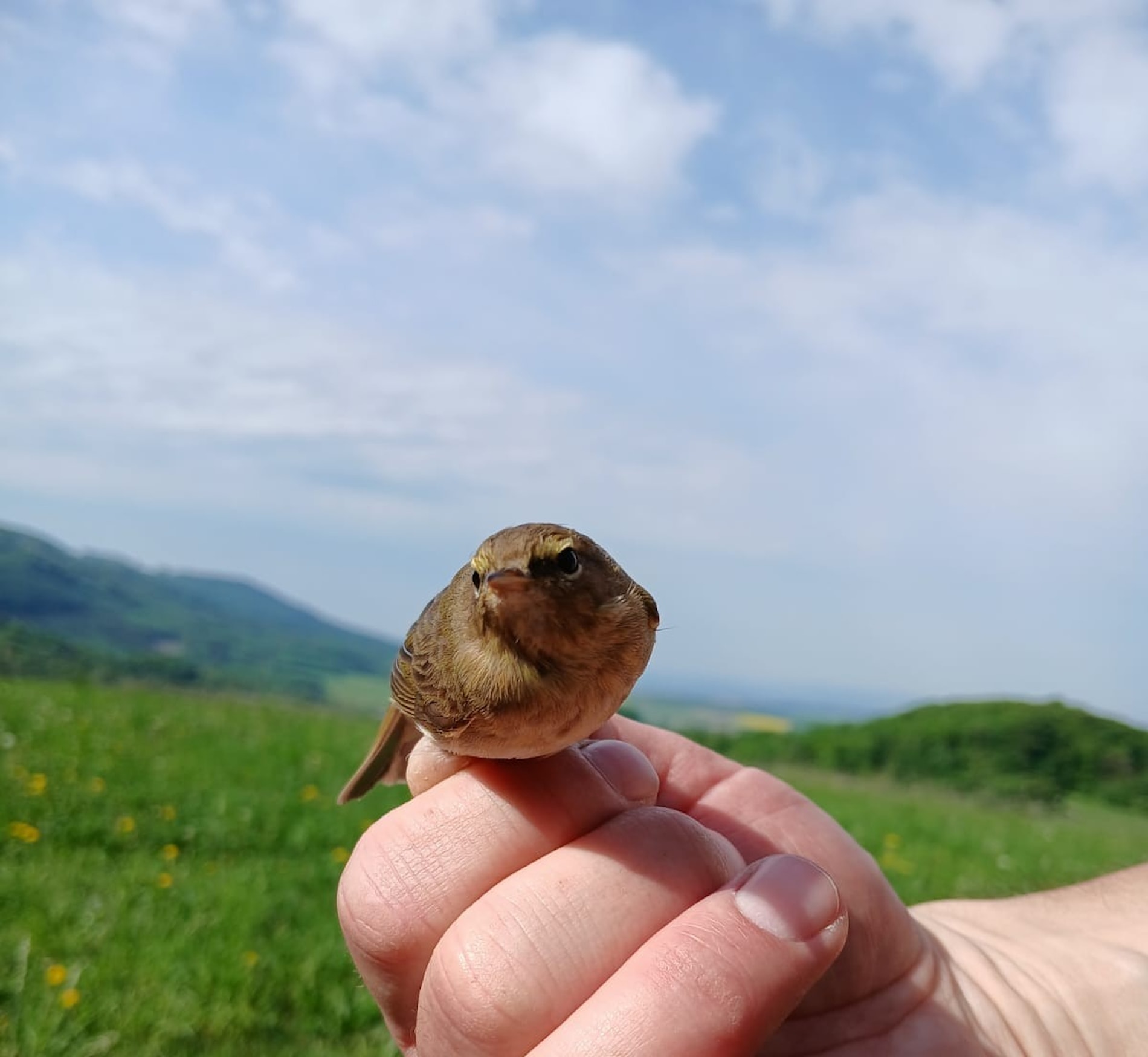 Vítání ptačího zpěvu - Hostýn