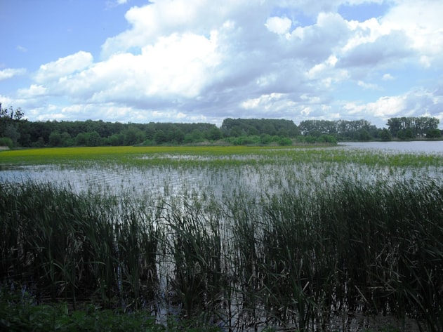 Vítání ptačího zpěvu - Záhlinice