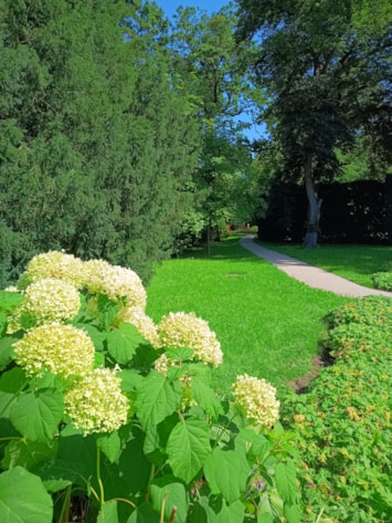 Vítání ptačího zpěvu - park Michalov