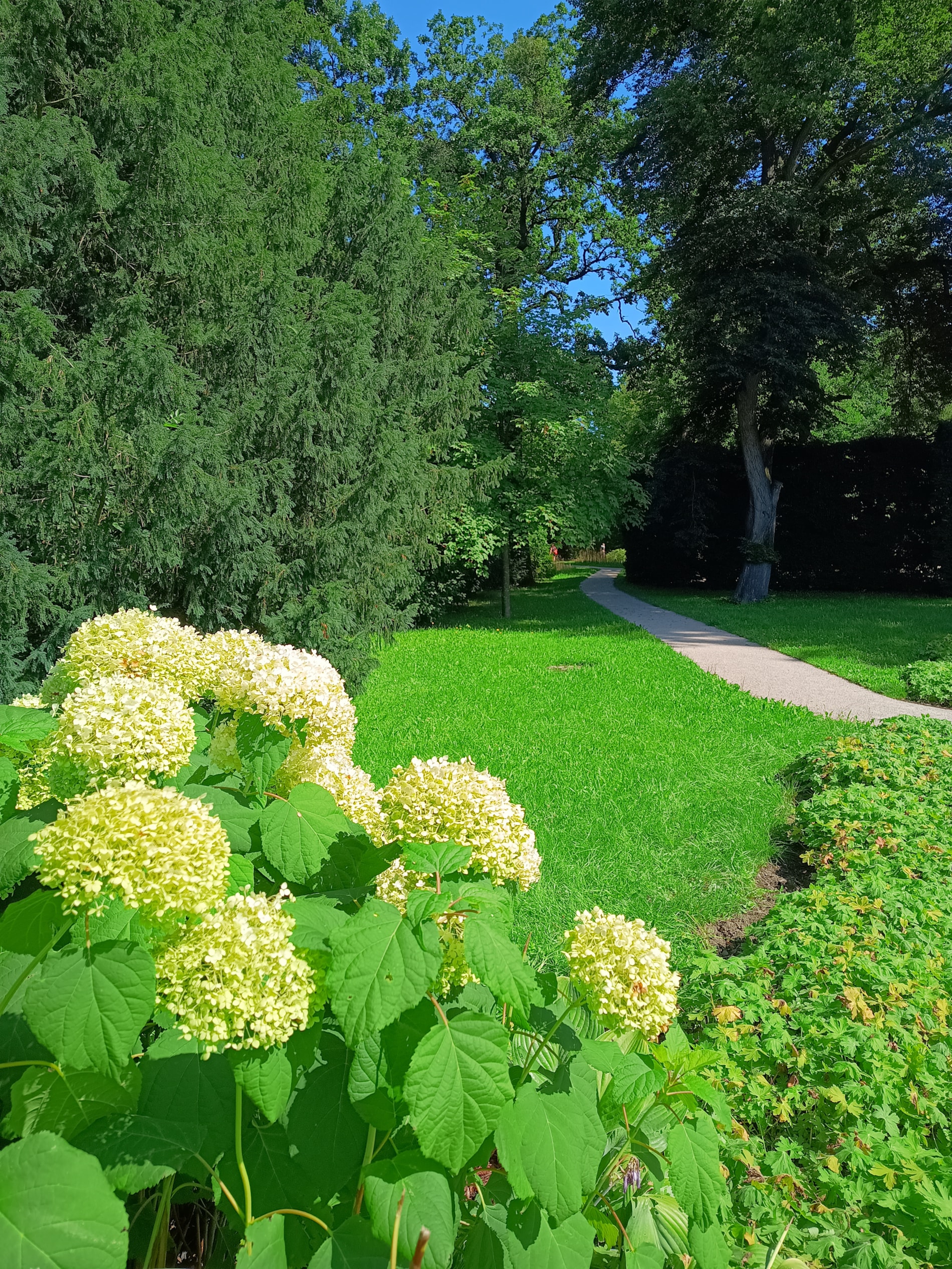 Vítání ptačího zpěvu - park Michalov