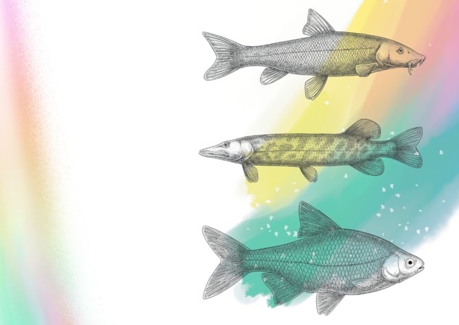 Vědecká ilustrace krok za krokem