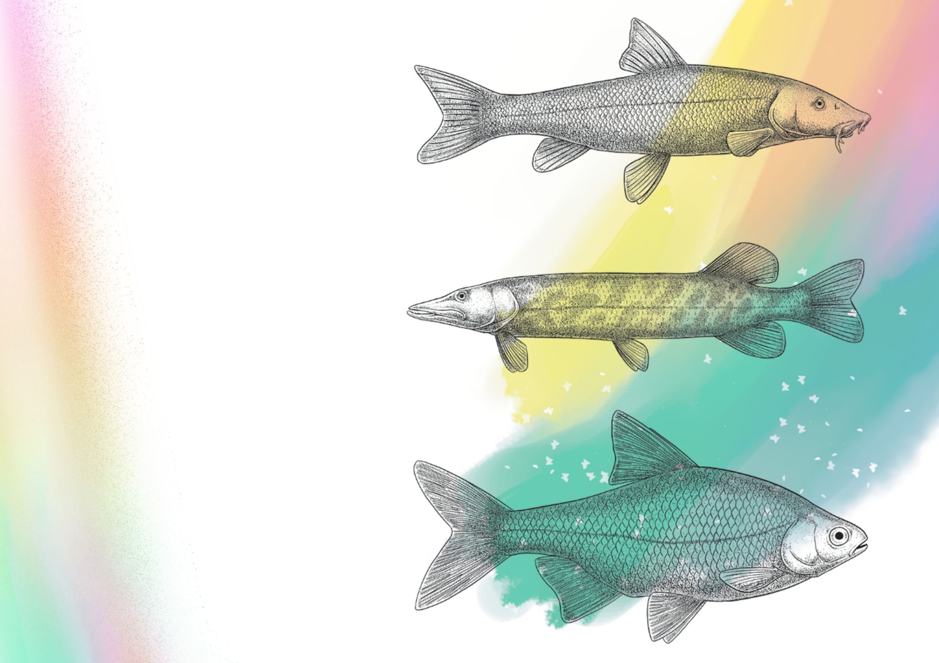 Vědecká ilustrace krok za krokem