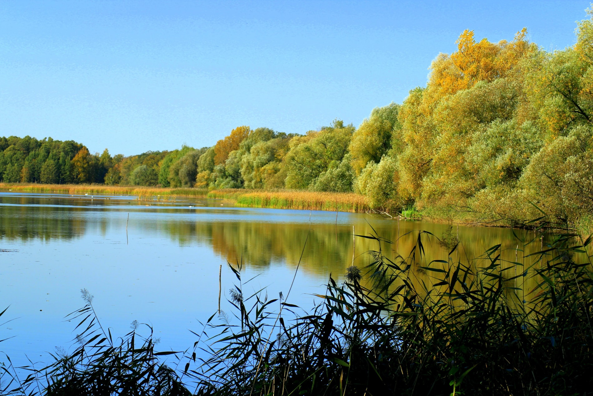 Výlet do Poodří a záchranné stanice v Bartošovicích!