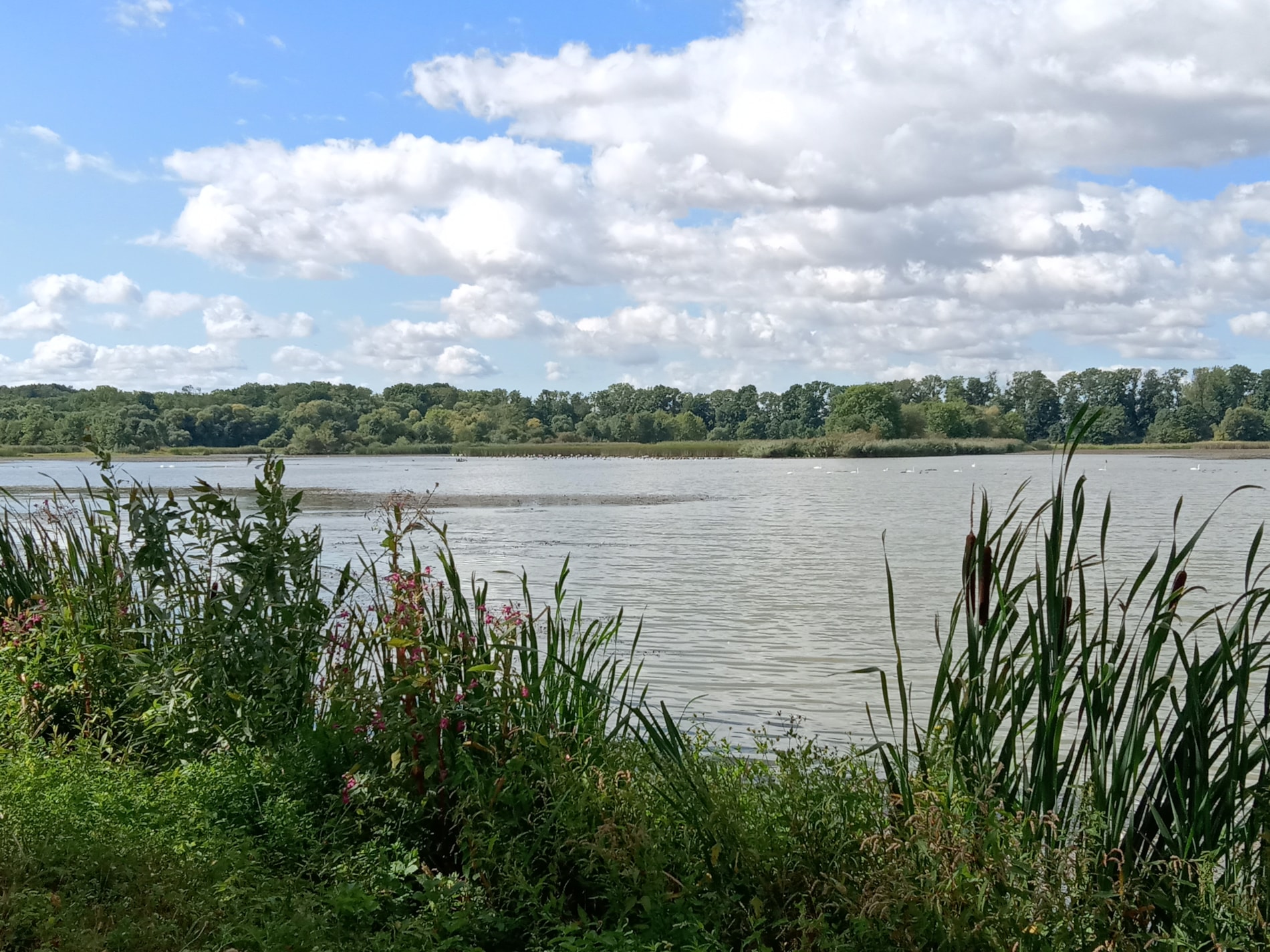 Krátká zpráva z návštěvy Poodří!