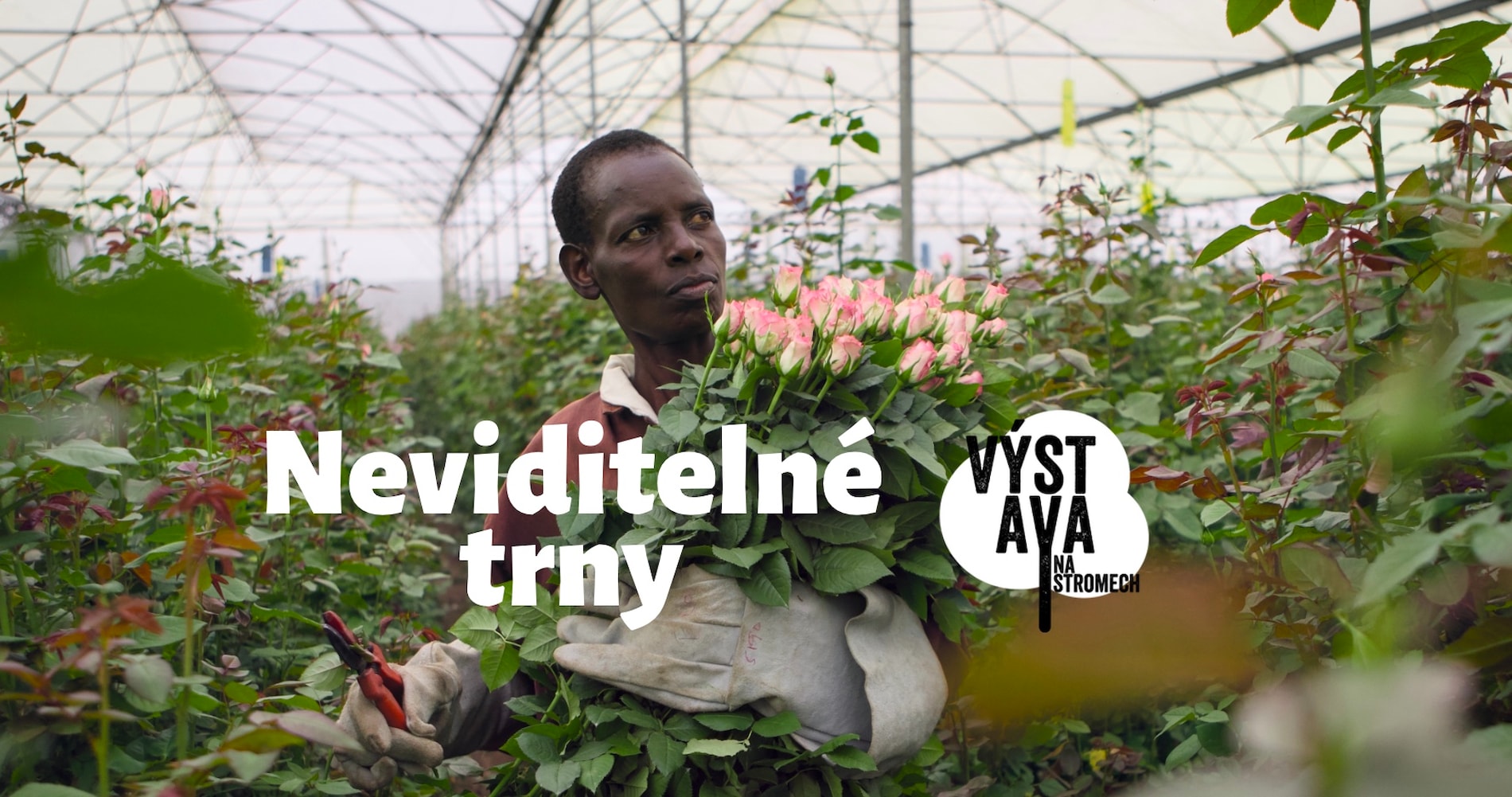 Výstava na stromech – Neviditelné trny