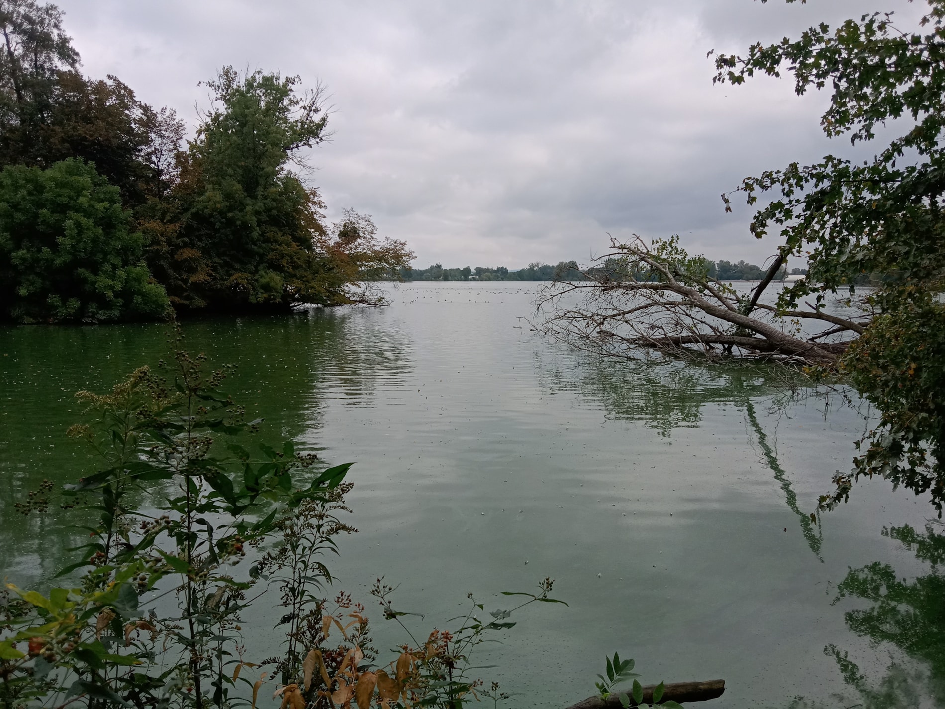 Ptačí festival - Záhlinice