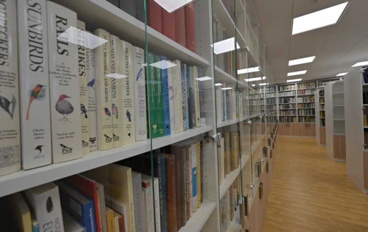 Library