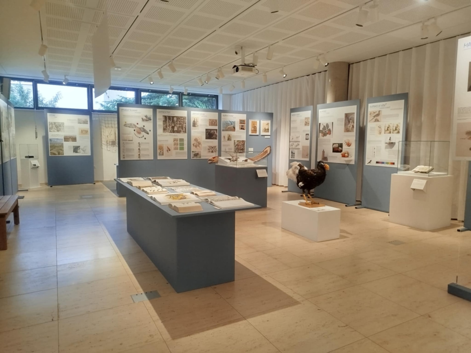 Věda malebná - komentovaná prohlídka