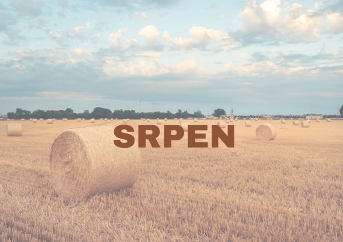 Program na srpen