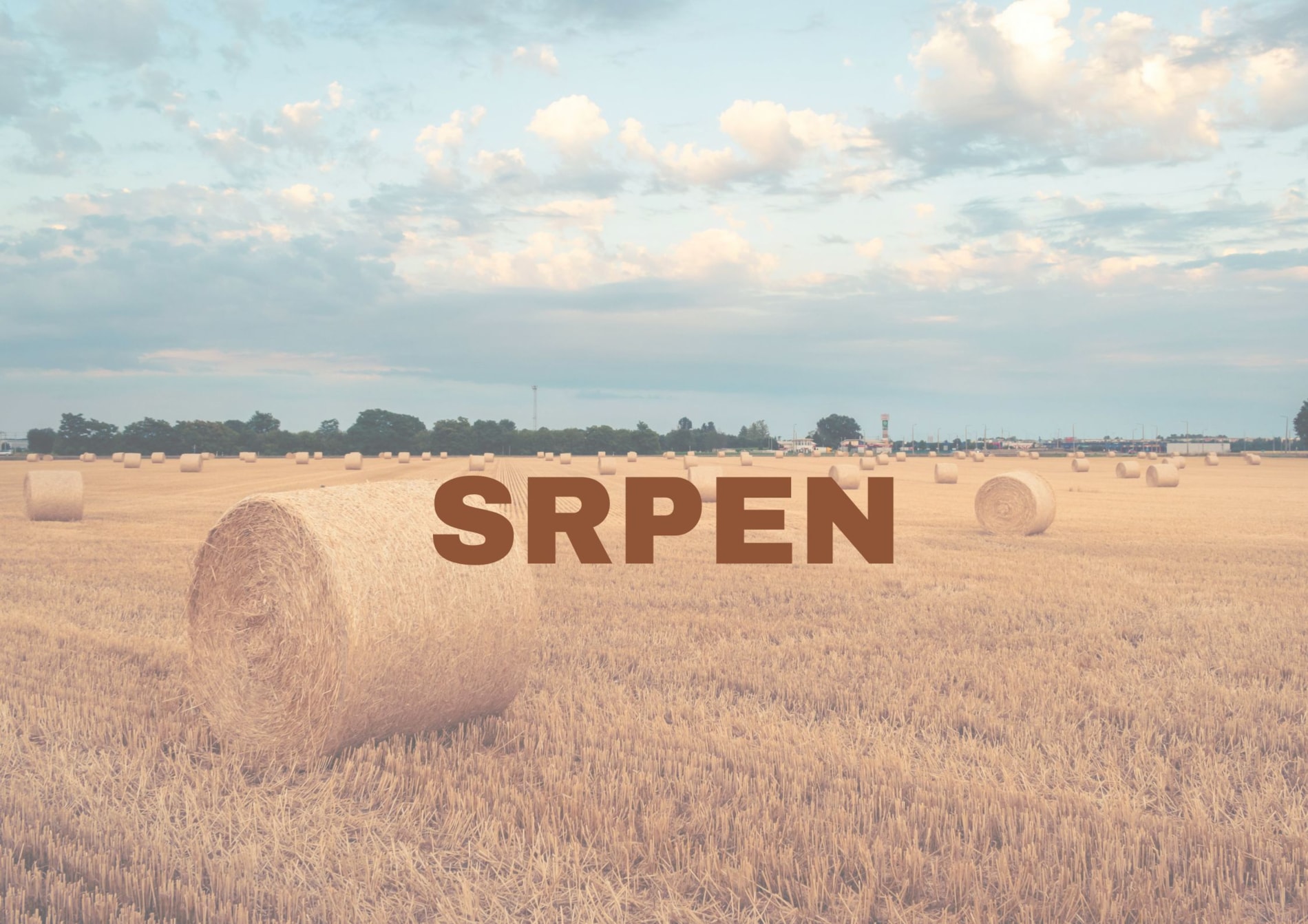Program na srpen