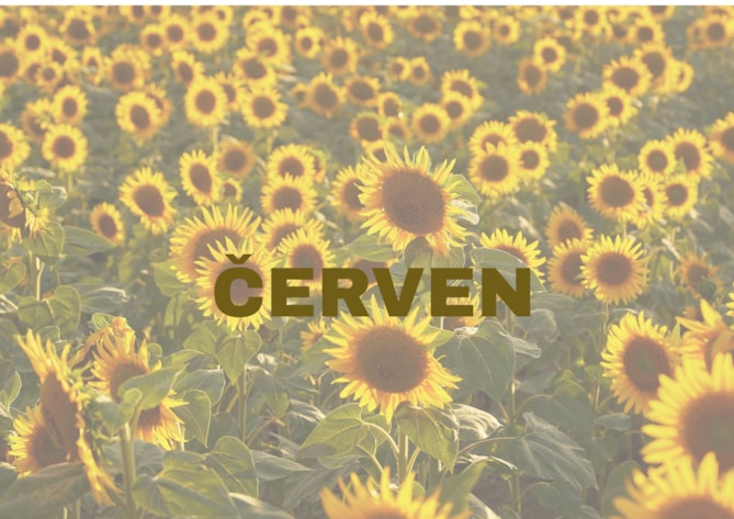 Program na červen