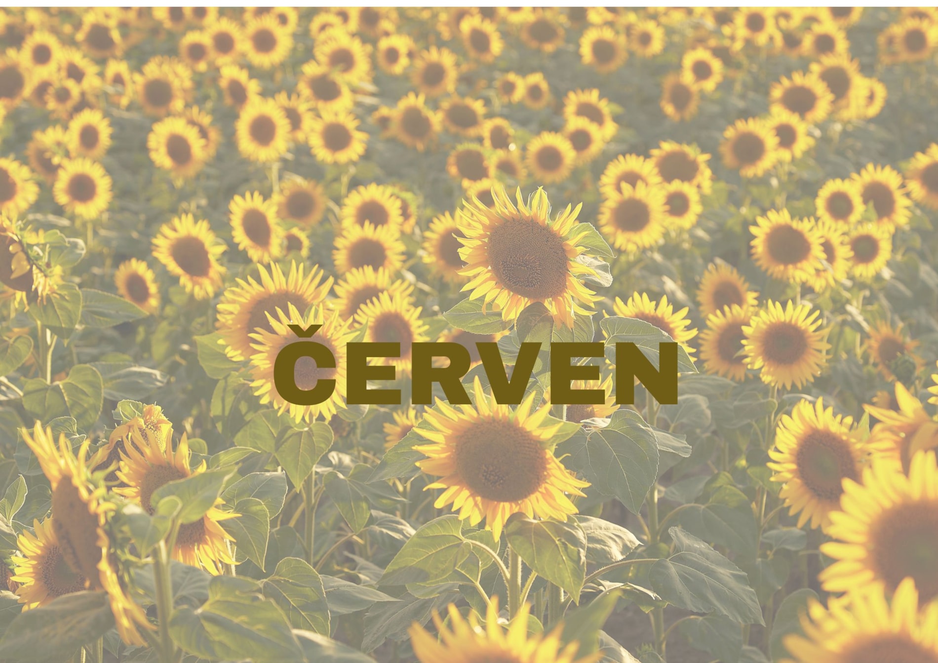 Program na červen
