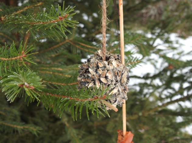 Vánoční strom pro ptactvo