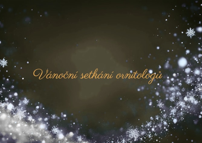 Vánoční setkání ornitologů