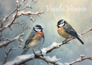 Tombola - Posedenie v ORNIS (6)