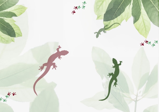 Podivné příhody ochránce přírody - autorské čtení povídek