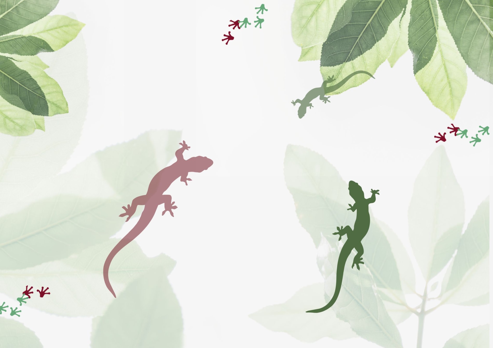 Podivné příhody ochránce přírody - autorské čtení povídek