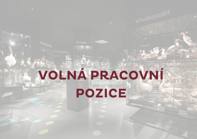 Muzeum Komenského v Přerově, p. o., vyhlašuje výběrové řízení na pracovní pozici edukátor(-ka) v kultuře pro přírodovědné pracoviště ORNIS