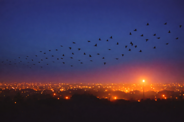 Kdy světlo neprospívá - přednáška 