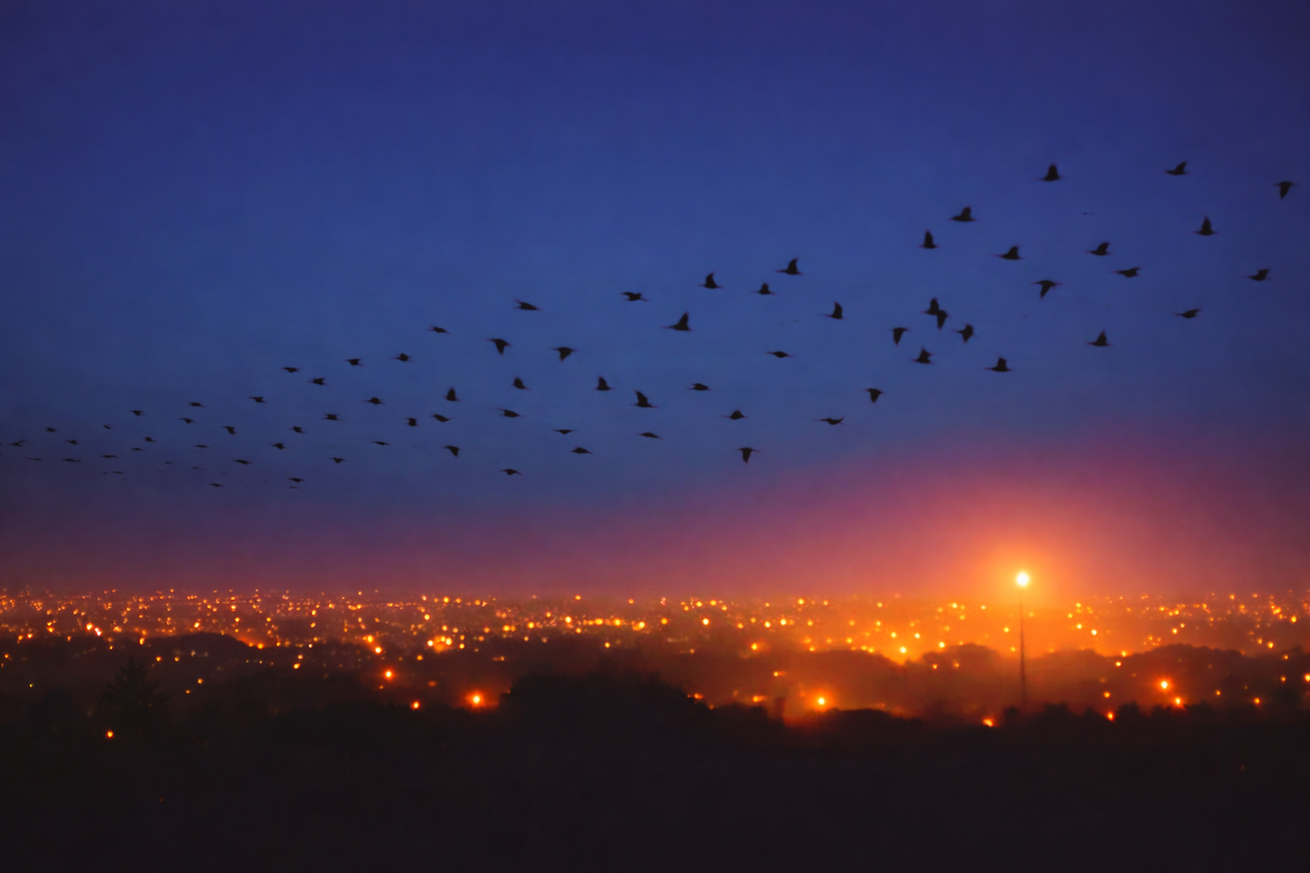 Kdy světlo neprospívá - přednáška 