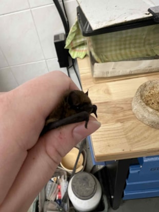 fe0f4574-96cf-4a90-824f-477a1aaab2a8