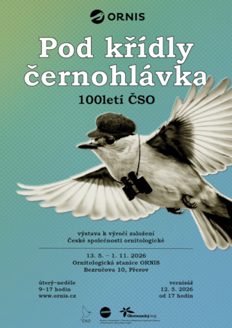 Pod křídly černohlávka: 100letí ČSO