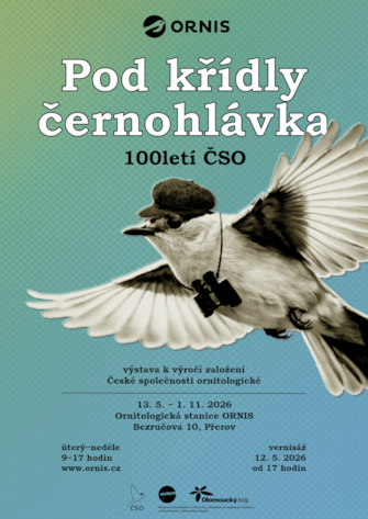 Pod křídly černohlávka: 100letí ČSO