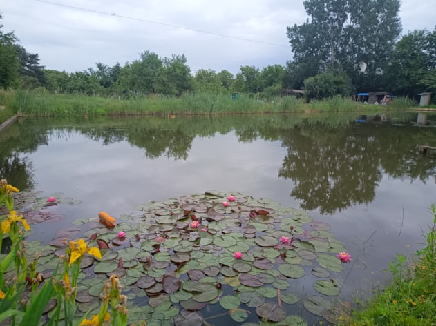 Botanická vycházka na Rybníky v Předmostí - ohlédnutí