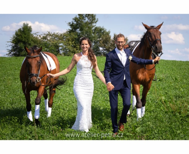 IMG_1480 copy
