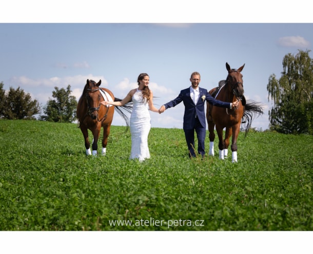 IMG_1481 copy