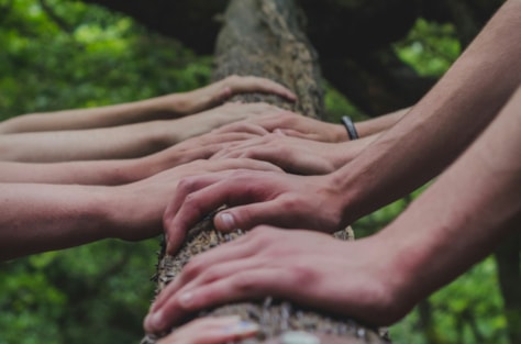 Představení základních konceptů gestalt terapie využitelných v pomáhajících profesích