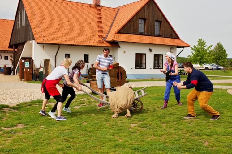 Hospodářský sedmiboj