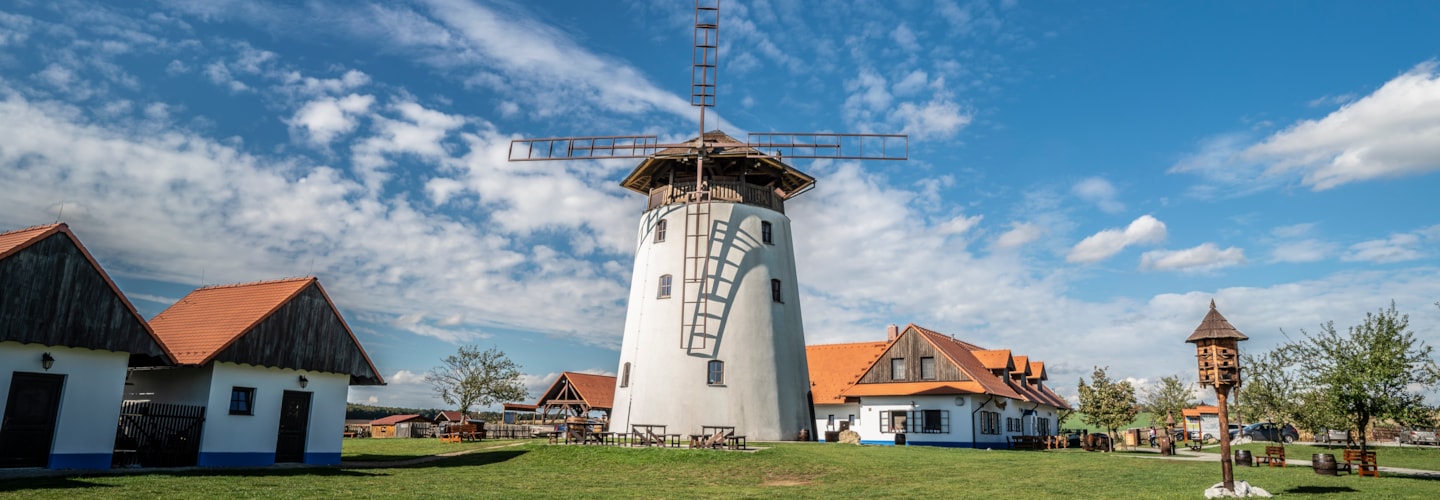 Windmill and lookout tower