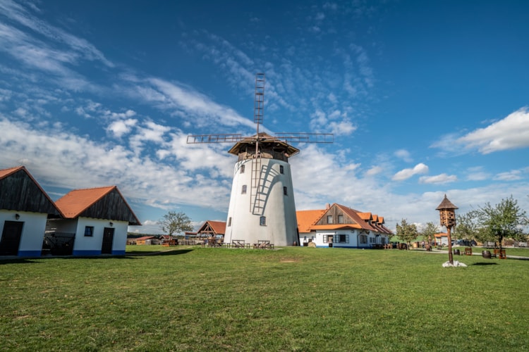 Windmill and lookout tower