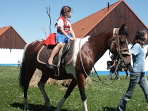 Dětský den