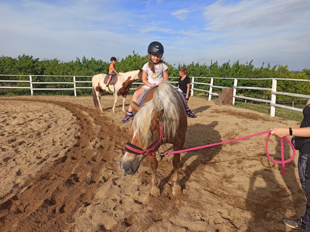 Horsback riding
