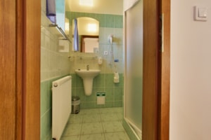 Room in a Slovak cottage - bathroom