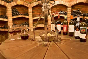 Vinotéka