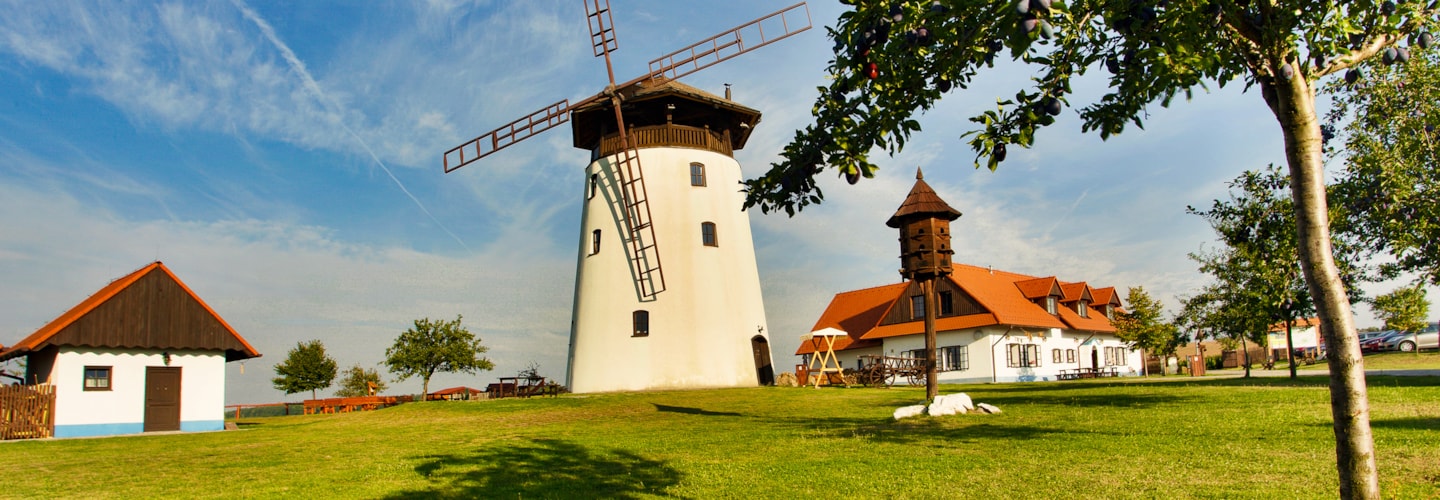 Summer at Bukovany Mill 2025