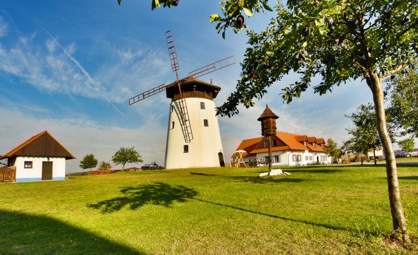 Summer at Bukovany Mill 2025
